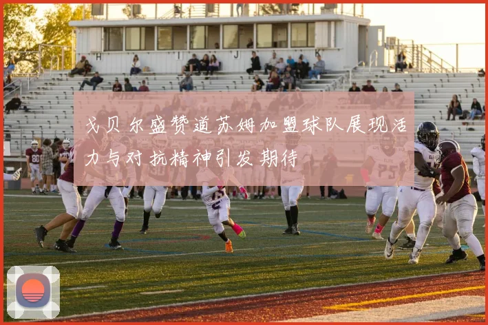 戈贝尔盛赞道苏姆加盟球队展现活力与对抗精神引发期待